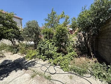 Tikinti, Mülkiyyətçi, Kupça (Çıxarış)