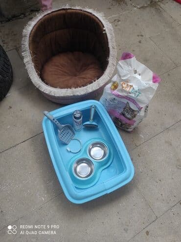 Pişik üçün tam dəst Dəst tərkibi: - Yumşaq, dairəvi pişik yatağı