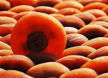 сушилка для фруктов купить в баку: Qurutma Aparatı Model DT600H Qızdırıcı aqreqat 6HP(380V) 3 faza — 13