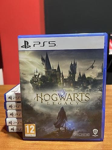 Hogvarts Legacy
Unvan Xirdalan AAAF Park
Catdirilma Var