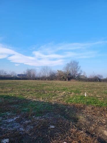 torpaa: 42 sot, Mülkiyyətçi, Kupça (Çıxarış) — 7