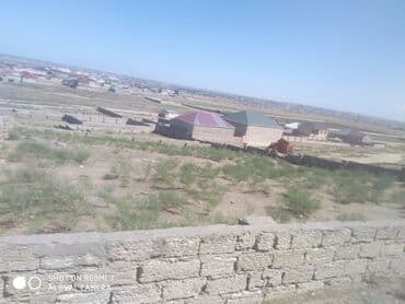 Audi: 6 sot, Tikinti, Mülkiyyətçi, Kupça (Çıxarış) — 5