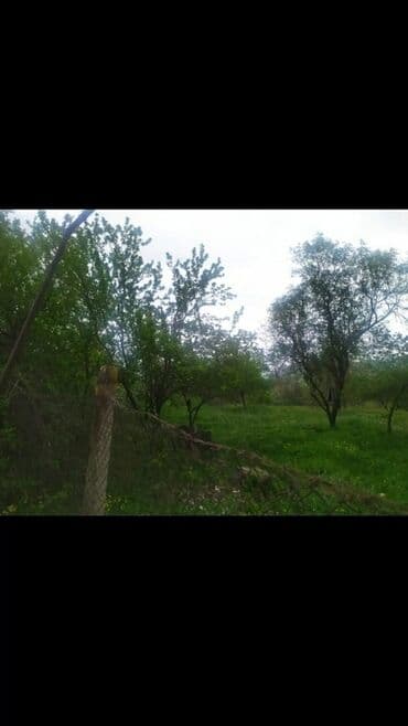 torpaq lokbatan: Yaşıl otlar və müxtəlif ağaclarla örtülmüş, yamaclı ərazidə yerləşən — 8