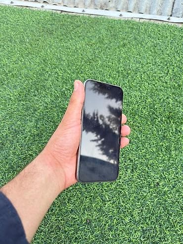 IPhone 15 Pro, Natural Titanium, Face ID