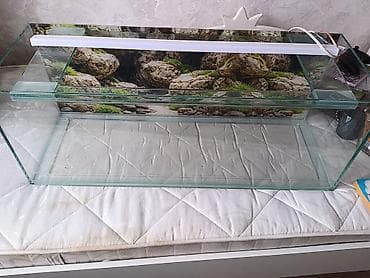 yumru akvariumlar: Dördbucaq akvarium, Boş, 160 l, Pulsuz çatdırılma — 2