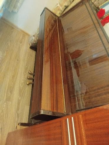 Məhsul: Akustik pianino və xalça - Akustik pianino - Korpus: tünd — 1