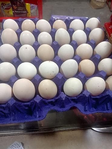 Təzə toyuq yumurtası – 30 ədədlik viyada Məhsul təsviri: - Ağ və krem