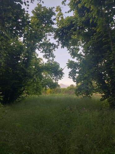 дом в баку купить: 20 соток, Для сельского хозяйства, Возможен обмен, Купчая — 4