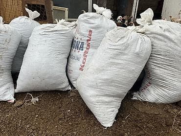 bitki toxumlarinin satisi: Mal peyinidi quru setkadan keçirilmişdi zil zibil deyil təmiz peyindi — 2