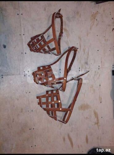 it tasmasi: İt remenləri satılır müxtəlif növdə, razmerdə remen, ağızlıq, gəzdirmə — 4