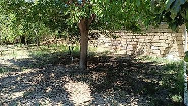 4 sot, Tikinti, Kupça (Çıxarış) — 3