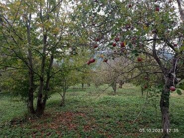 проекты домов в баку: 40 sot, Kupça (Çıxarış) — 2