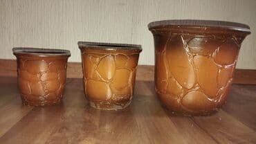 семена чиа баку: Saxsı dip ekler el isi — 2