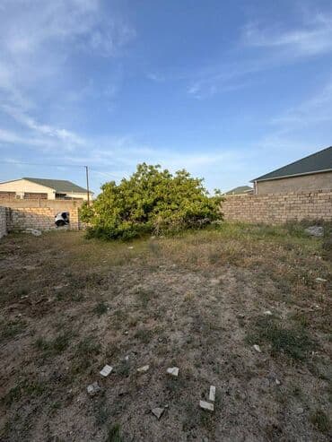 türkanda torpaq: 3 sot, Tikinti, Kupça (Çıxarış) — 5