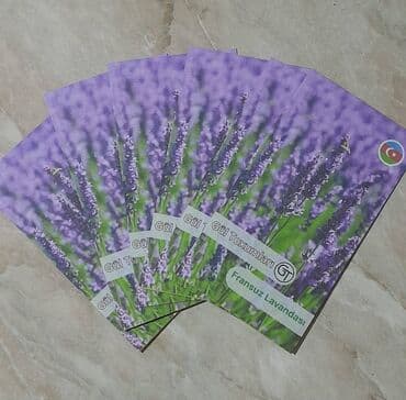 hilba toxumu qiymeti: Fransız lavanda toxumları ! Paçkası 5 manata Başka 50 çür toxumları — 1