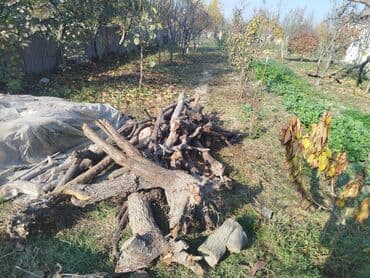 yeni il ağacı: Odun – qarışıq ağac növləri - Kəsilib doğranmış odun yığınları - — 2