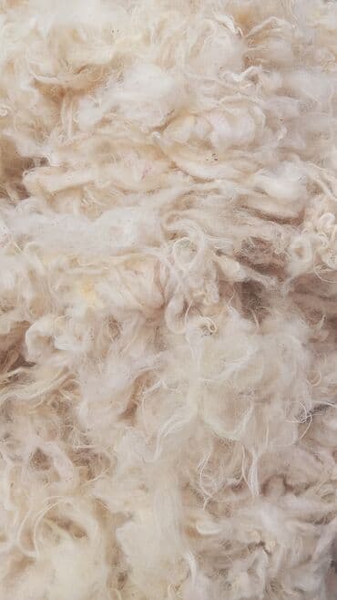 isti aqlay fasad: Təbii qoyun yunu – kütləvi şəkildə Məhsulun təsviri: - Açıq krem/ağ — 2