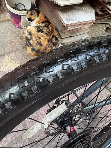 BMX velosipedlər: BMX 29 Velosiped heç bir problemi yoxdur, əla veziyyətdədir, teze — 9