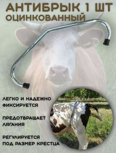 электрическая машинка для стрижки овец: Tekmesavar Антибрык Topdansatis qiymetlerle satış Agromarket və — 1