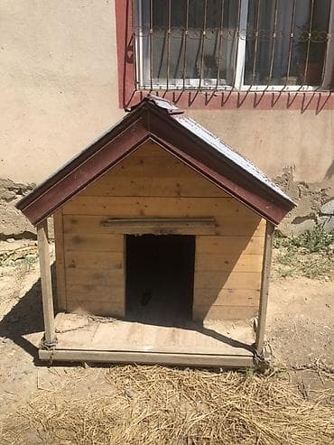 mal yemi: Taxta it evi - Material: qalın taxta lövhələr, möhkəm karkas - Ölçü — 1