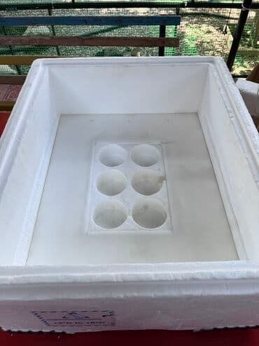 капсульная кофемашина баку: Salam, 63 ədəd yumurtalıq inqubator. Polnu avtomatdır. Yumurtanı özü — 7