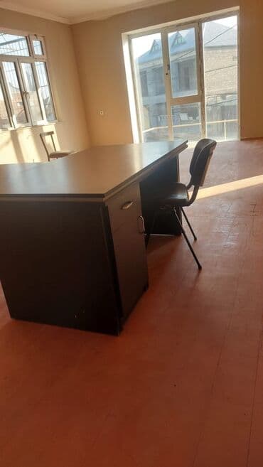 Otaq bitkiləri: Real alıcı zəng etsin — 4