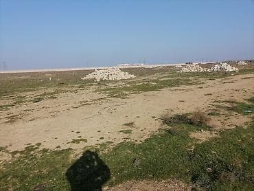 torpaa: 3 sot, Kənd təsərrüfatı, Mülkiyyətçi, Kupça (Çıxarış) — 7