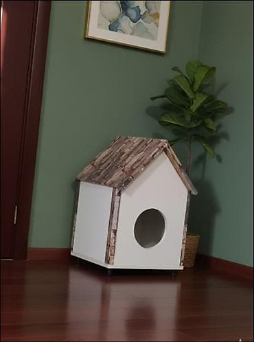 qapi iti: Tezə — 1