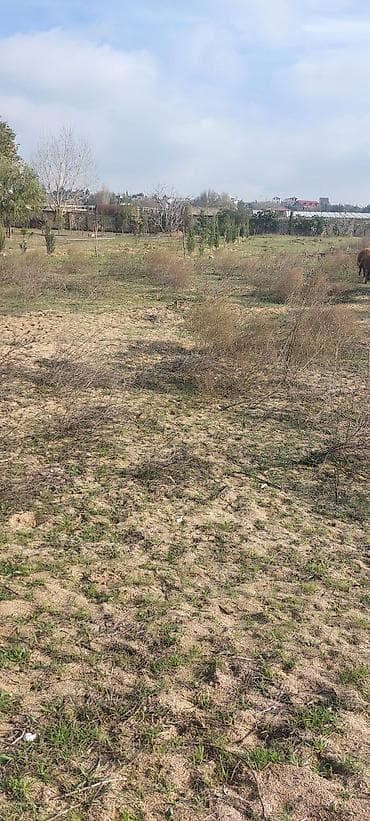 koroğlu: 24 sot, Tikinti — 10