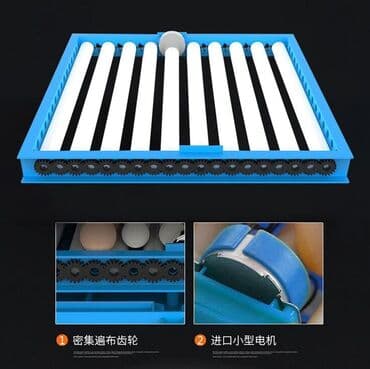 купить измельчитель сена бу: 100 yumurta, Çin, Fabrik istehsalı, Tam avtomat, Bütün növ quşlaq üçün — 4