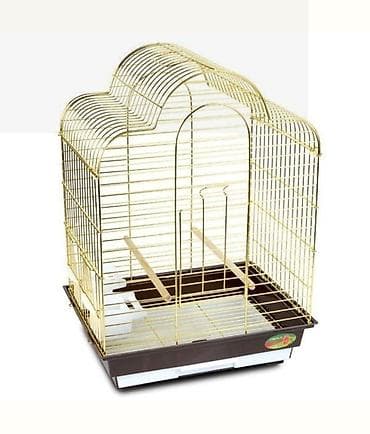 🌟 Kiçik quşlar üçün mükəmməl qəfəslər artıq satışda! Yumurtlayan və