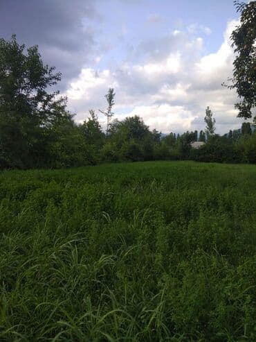 torpağ sahəsi: 20 sot, Tikinti, Mülkiyyətçi, Kupça (Çıxarış) — 5