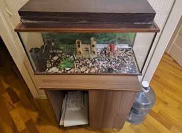 Akvarium-şkaf, Boş, 50 l, Ünvandan götürmə lalafo.az -da Akvarium-şkaf, Boş, 50 l, Ünvandan götürmə