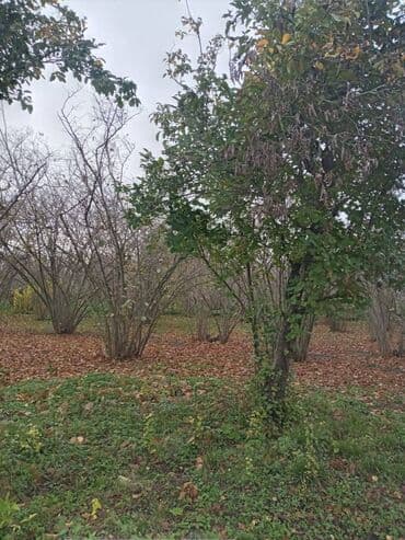 продажа и аренда домов: 4 комнаты, 110 м², Нет кредита, Без ремонта — 1