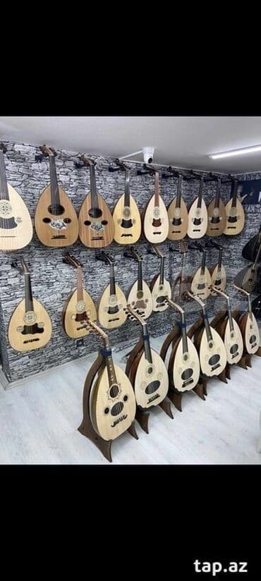mikrafon stoykasi: Ud musiqi aləti Yeni Türk ve ərəb udlari, Ekvalazerli və mikrafonlu ud — 1
