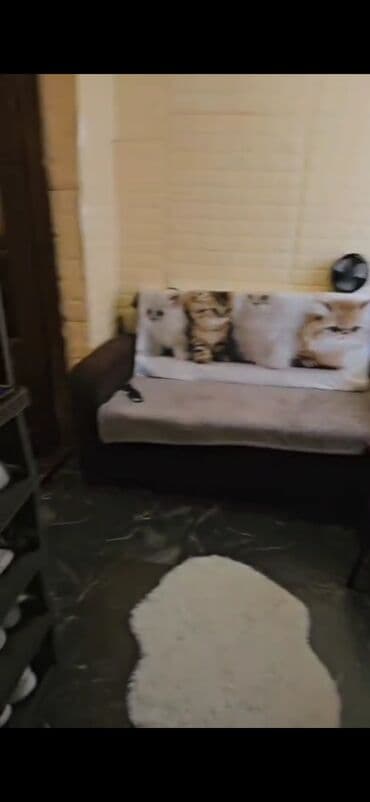 шкаф в коридор: Kupe, 3 qapılı Düz dolab, Qarderob, paltar dolabı — 3