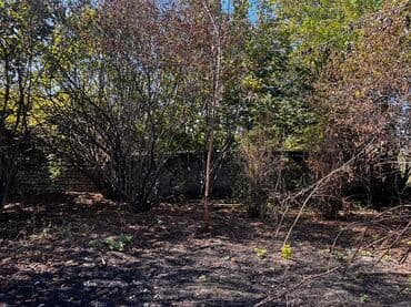 ferma icarəyə verilir: 13 sot, Kənd təsərrüfatı, Mülkiyyətçi, Kupça (Çıxarış) — 5