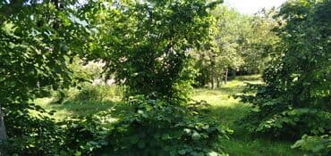 объявления о продаже земельных участков: 10 соток, Для строительства, Собственник, Купчая — 20