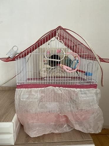 Dalğalı tutuquşular üçün qəfəs dəsti - Forma: damlı ev tipli metal — 4