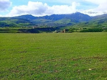 3 sot, Kənd təsərrüfatı, Kupça (Çıxarış) lalafo.az -da 3 sot, Kənd təsərrüfatı, Kupça (Çıxarış)