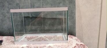 аквариум без рыб: Akvaryum satılır islenmeyib 6ldir ünvan xırdalan — 3