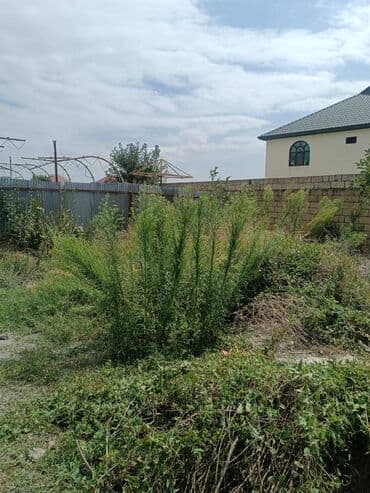 metro nesimide kiraye evler: 3 otaqlı, 50 kv. m, Kredit yoxdur, Orta təmir — 2