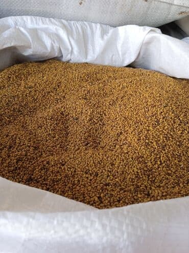yasəmən gülü qiyməti: Məhsul: Yonca toxumu (Medicago sativa) Təsvir: - Təmizlənmiş, xırda — 2
