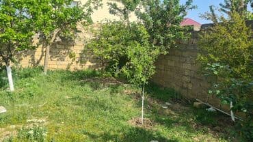 çıxarış nədir: 3 otaqlı, 170 kv. m, Kredit yoxdur, Yeni təmirli — 8