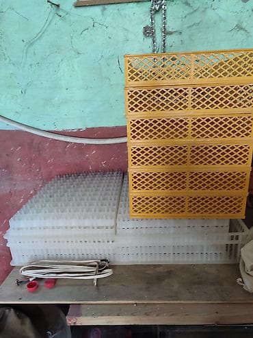 Biznes üçün avadanlıq: 1100 yumurta, Tam avtomat — 4
