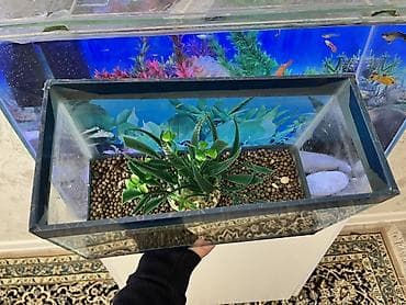 yumru akvariumlar: Dördbucaq akvarium, Boş, 7 l, Ödənişli çatdırılma — 3