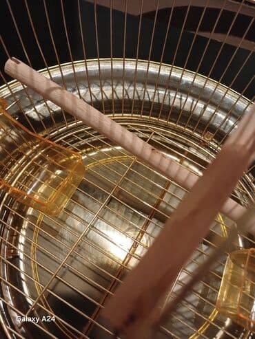 Xaltalar, qayışlar və tasmalar: Qızılı rəngdə dairəvi quş qəfəsi - Material: metal korpus, üst — 5