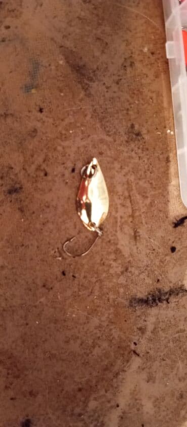 mhm azərbaycan dili qaydalar və testlər pdf: Balıqçılıq qaşıqları dəsti - Plastik saxlama qutusu ilə birlikdə — 6