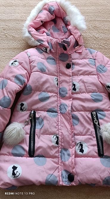 Kurtkalar lalafo.az -da Kurtkalar