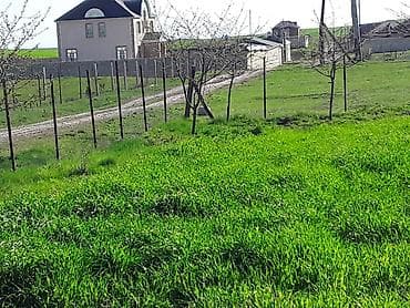 razin kiraye evler: 12 sot, Tikinti, Maklerlər narahat etməsin, Kupça (Çıxarış) — 5